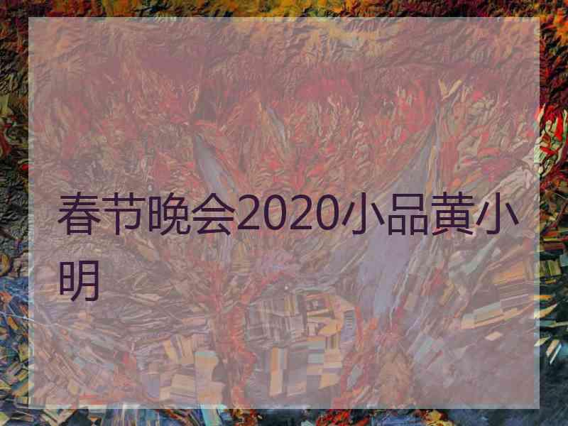 春节晚会2020小品黄小明