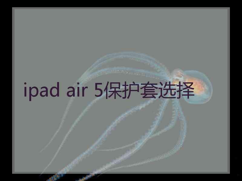 ipad air 5保护套选择