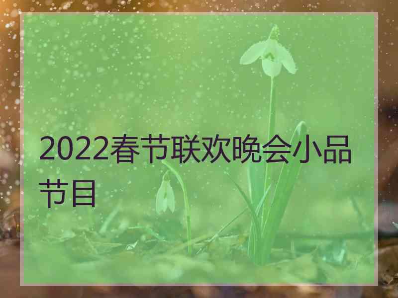 2022春节联欢晚会小品节目