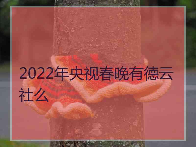 2022年央视春晚有德云社么