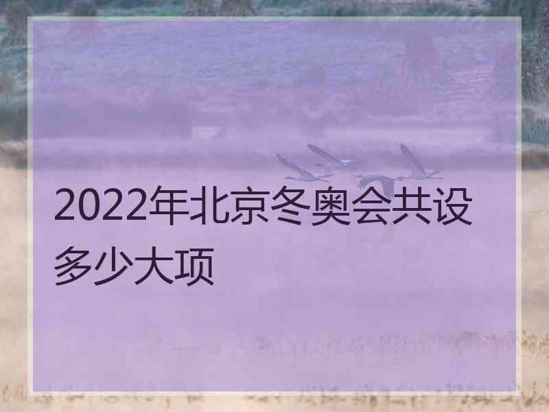 2022年北京冬奥会共设多少大项