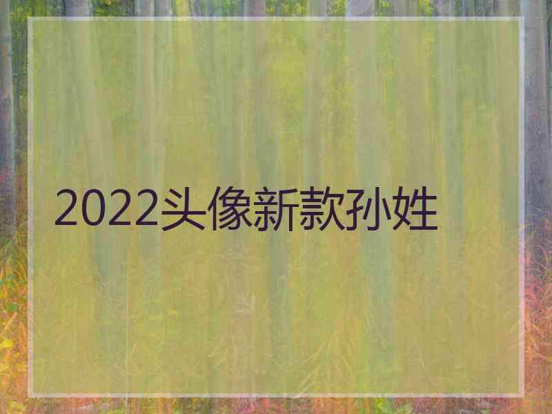 2022头像新款孙姓