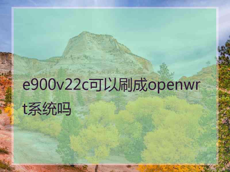 e900v22c可以刷成openwrt系统吗