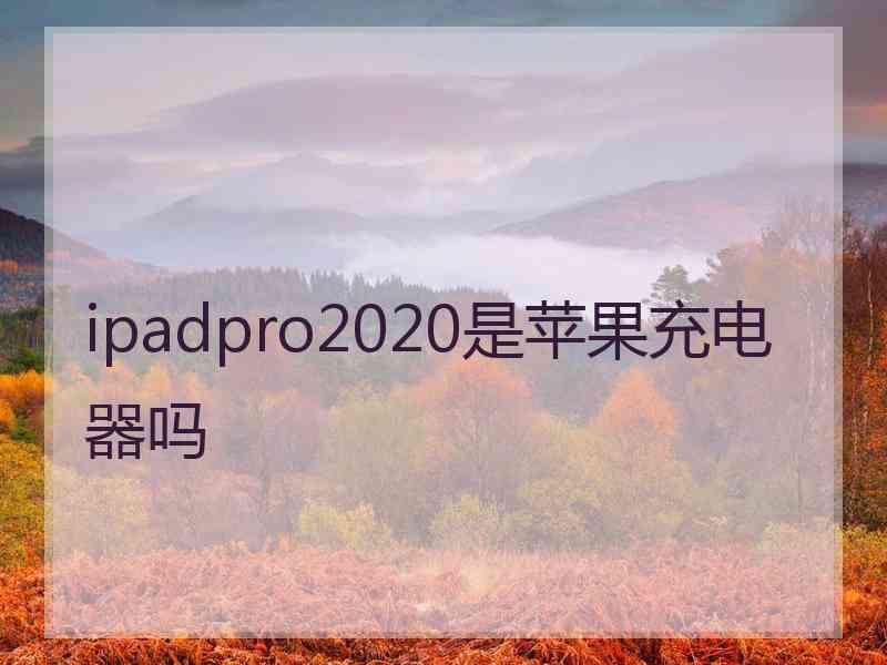 ipadpro2020是苹果充电器吗