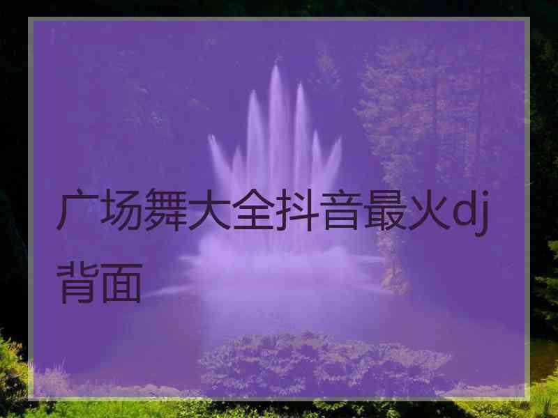 广场舞大全抖音最火dj背面