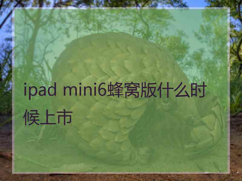 ipad mini6蜂窝版什么时候上市