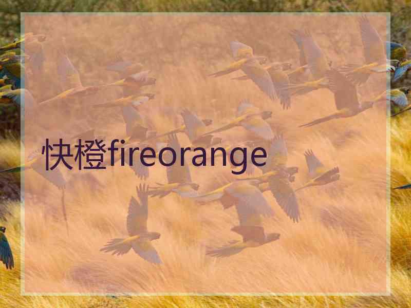 快橙fireorange