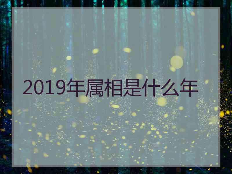 2019年属相是什么年