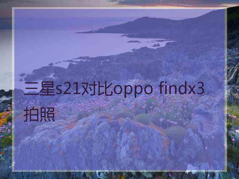 三星s21对比oppo findx3拍照