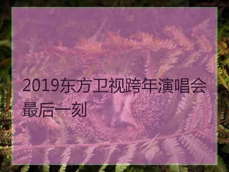 2019东方卫视跨年演唱会最后一刻