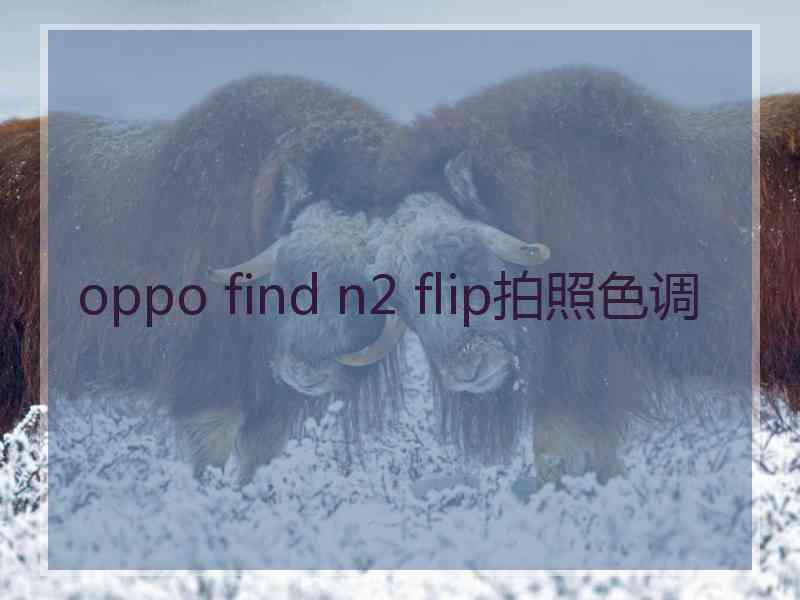 oppo find n2 flip拍照色调