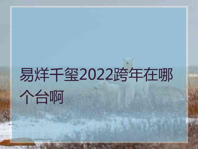 易烊千玺2022跨年在哪个台啊