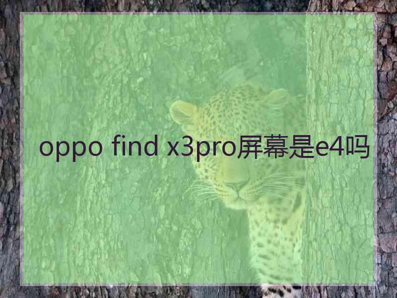 oppo find x3pro屏幕是e4吗