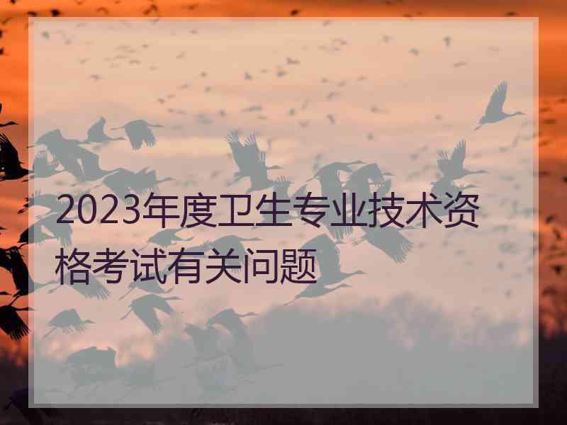 2023年度卫生专业技术资格考试有关问题