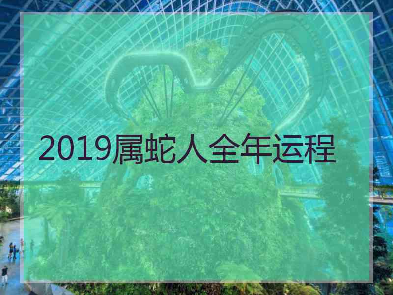 2019属蛇人全年运程