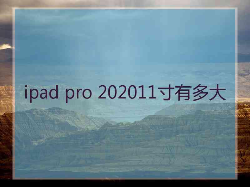 ipad pro 202011寸有多大