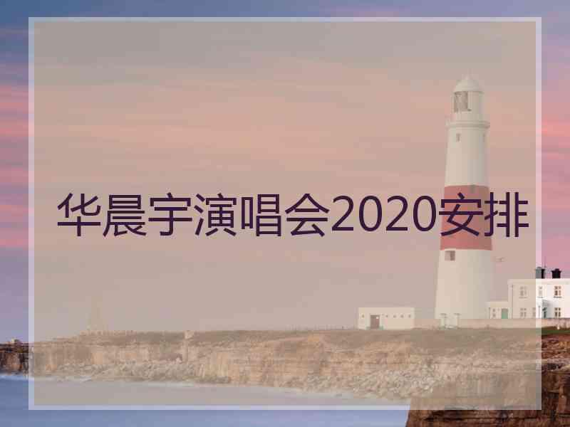 华晨宇演唱会2020安排