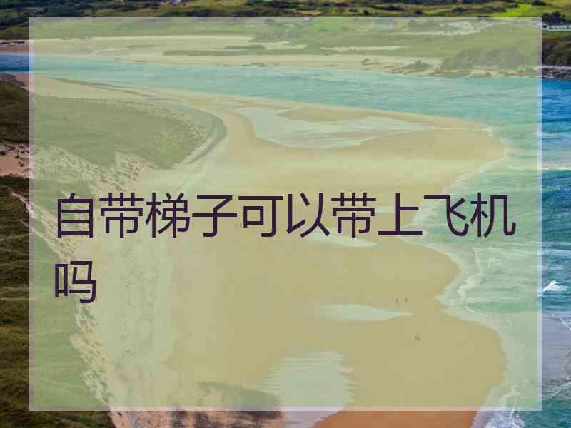 自带梯子可以带上飞机吗