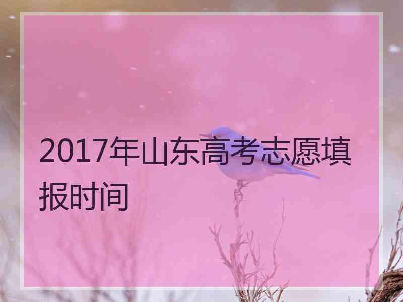 2017年山东高考志愿填报时间