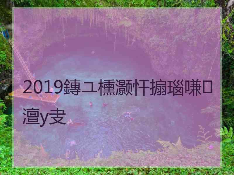 2019鏄ユ櫄灏忓搧瑙嗛澶у叏