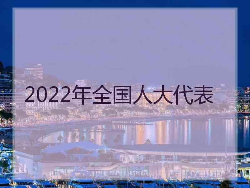 2022年全国人大代表