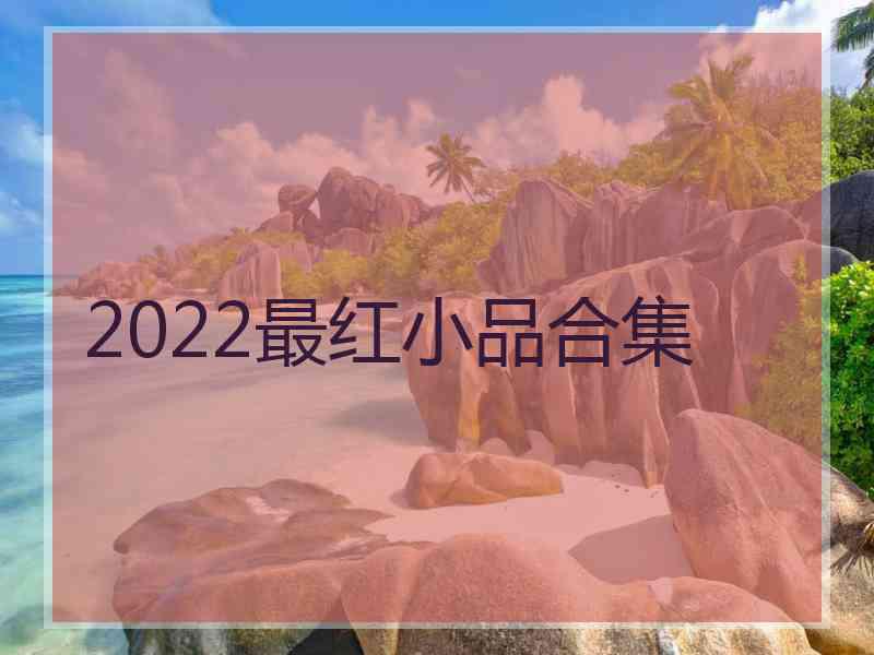 2022最红小品合集