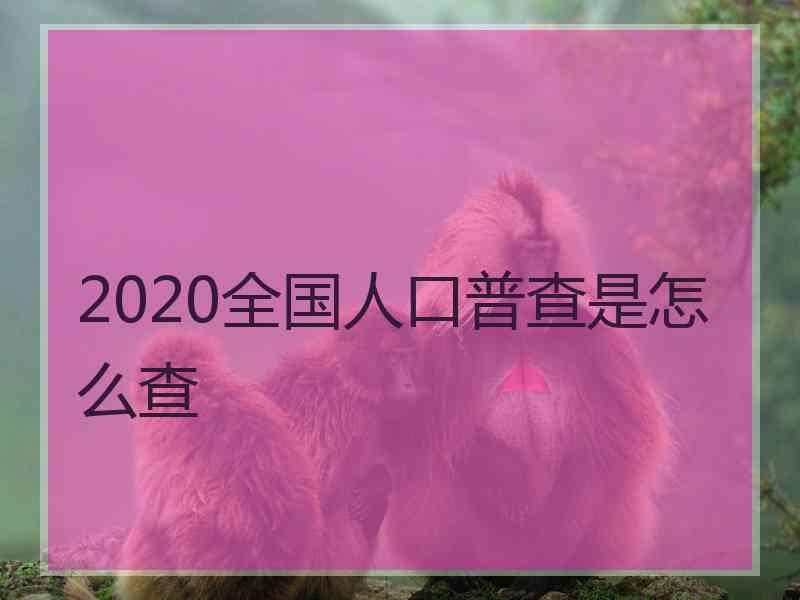 2020全国人口普查是怎么查