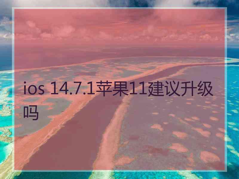 ios 14.7.1苹果11建议升级吗