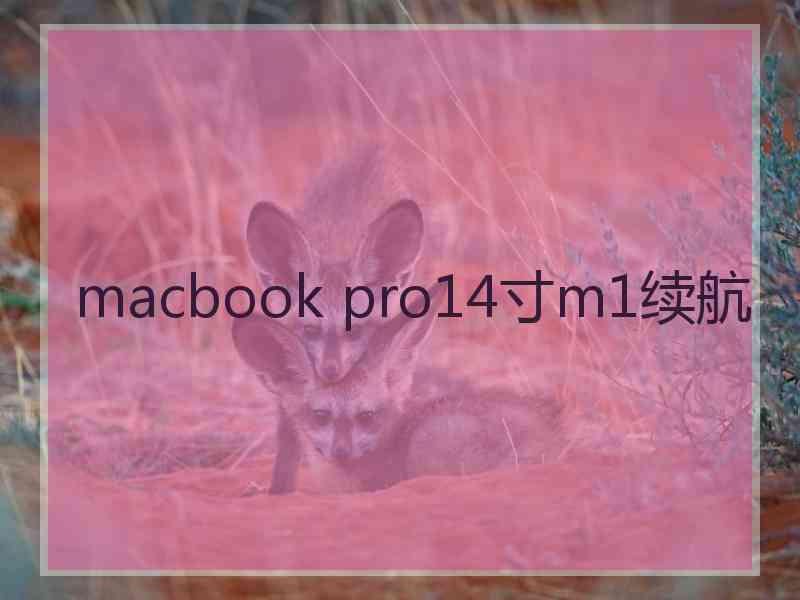 macbook pro14寸m1续航