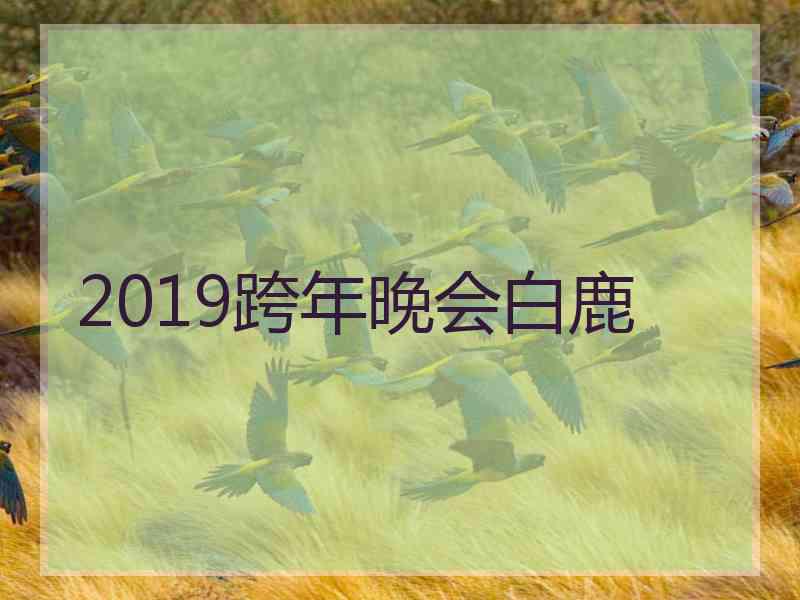 2019跨年晚会白鹿