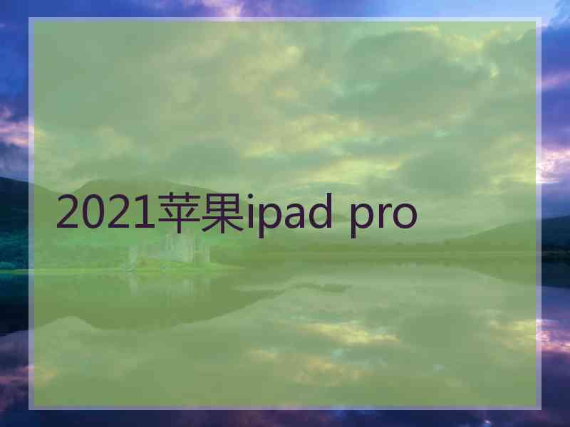 2021苹果ipad pro