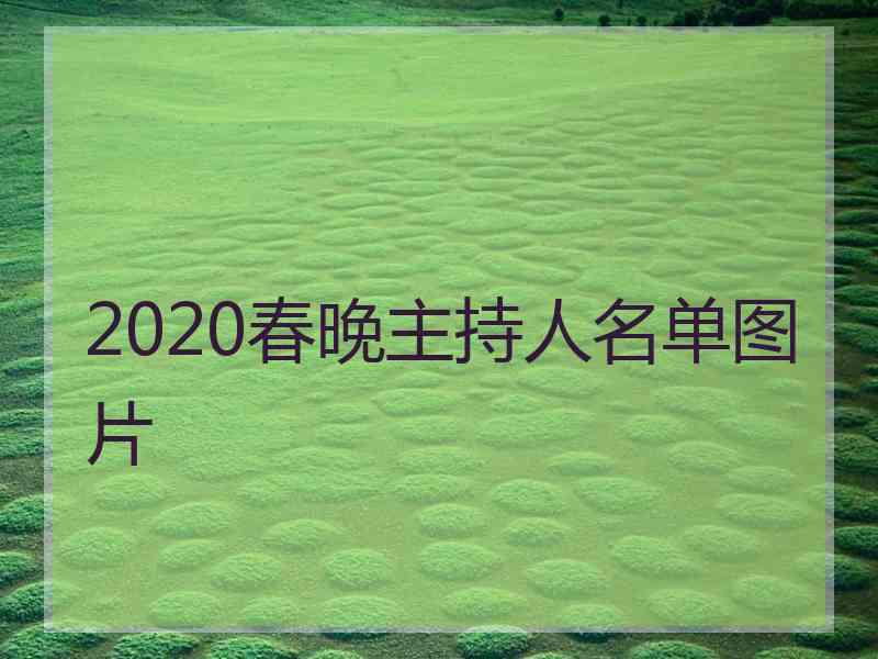 2020春晚主持人名单图片