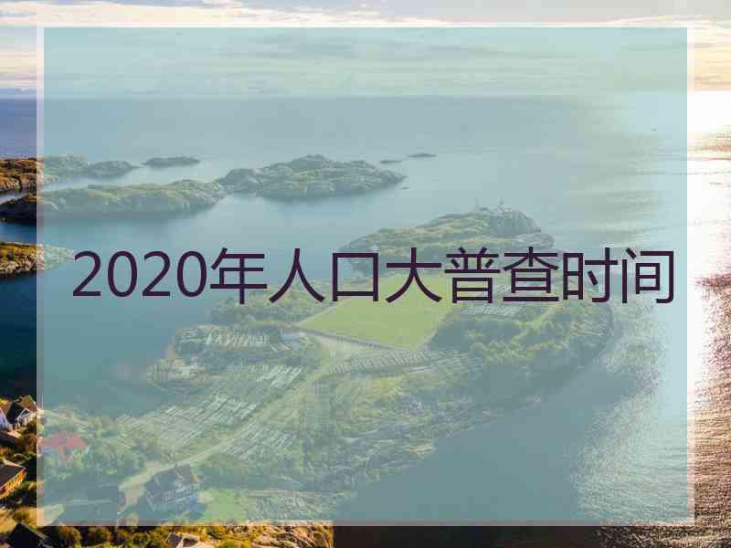 2020年人口大普查时间