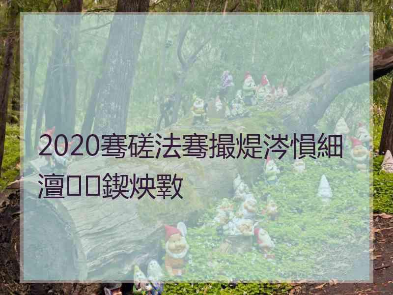 2020骞磋法骞撮煶涔愪細澶鍥炴斁