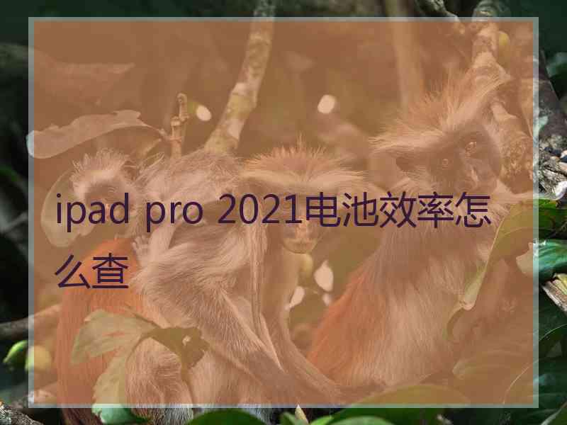 ipad pro 2021电池效率怎么查