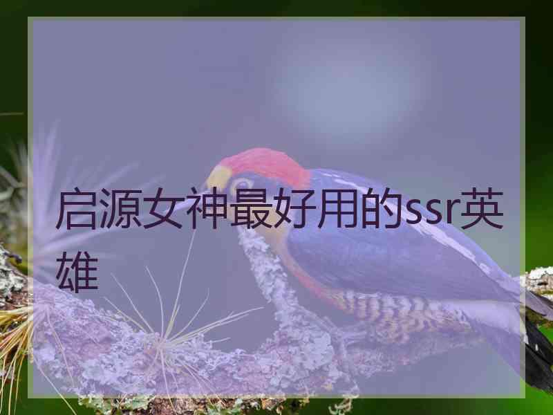 启源女神最好用的ssr英雄