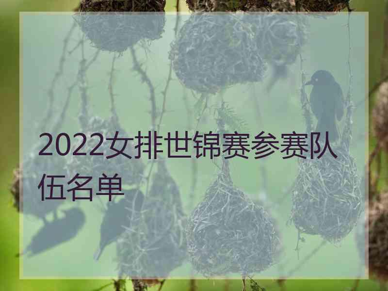 2022女排世锦赛参赛队伍名单