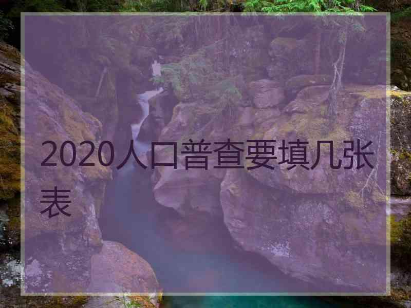 2020人口普查要填几张表