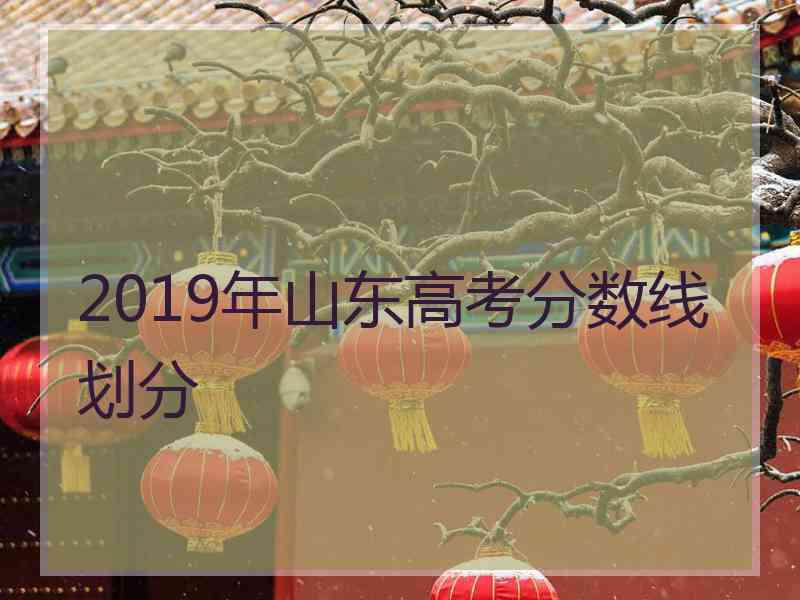 2019年山东高考分数线划分