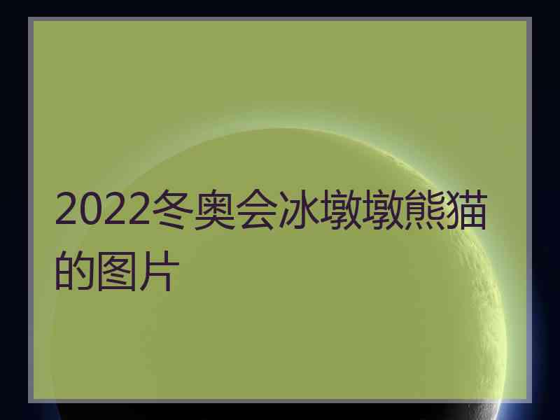 2022冬奥会冰墩墩熊猫的图片