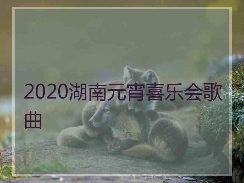 2020湖南元宵喜乐会歌曲