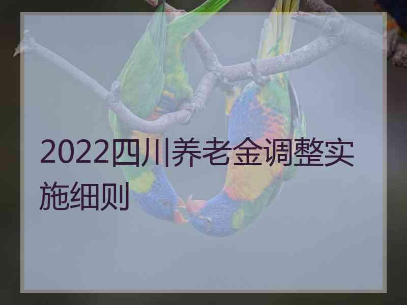 2022四川养老金调整实施细则