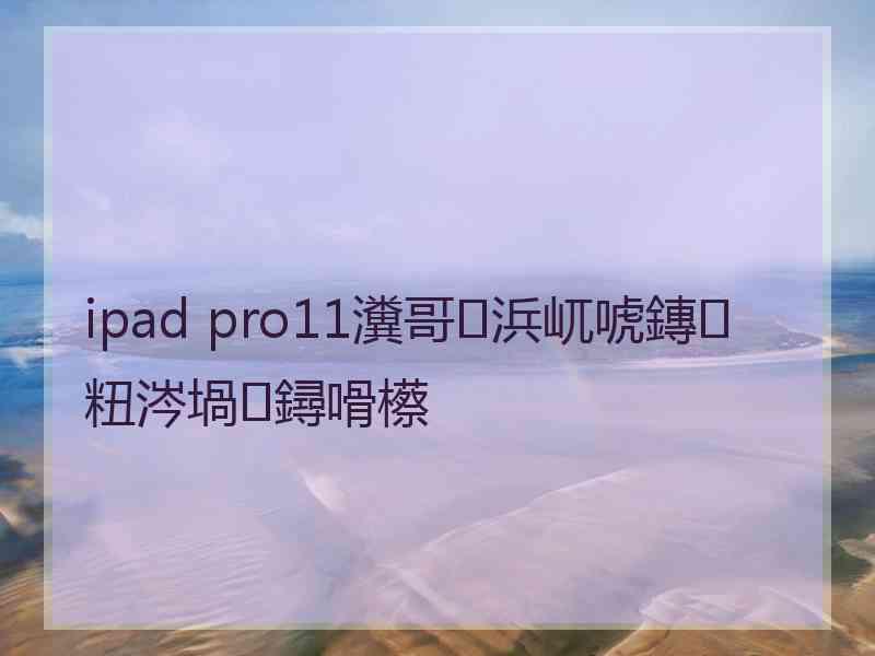 ipad pro11瀵哥浜屼唬鏄粈涔堝鐞嗗櫒