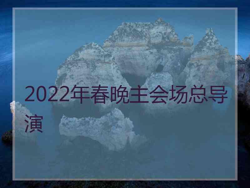 2022年春晚主会场总导演