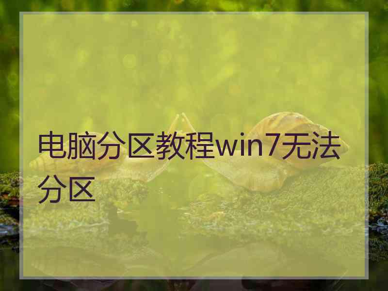 电脑分区教程win7无法分区