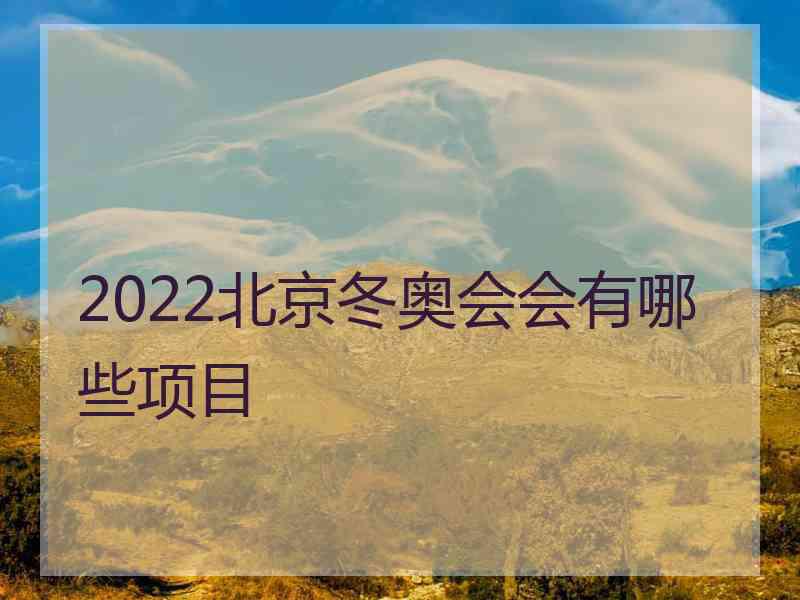 2022北京冬奥会会有哪些项目