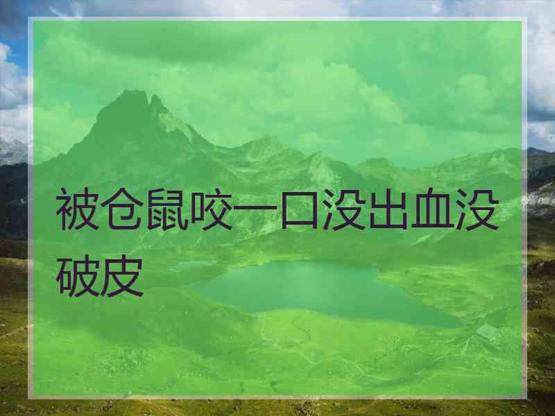 被仓鼠咬一口没出血没破皮