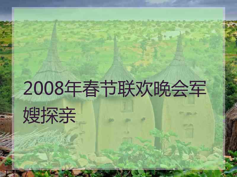 2008年春节联欢晚会军嫂探亲