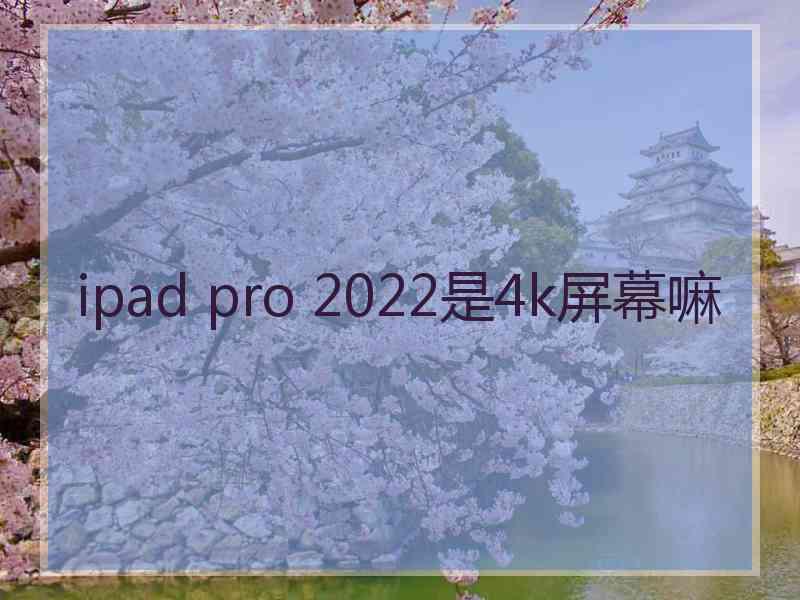 ipad pro 2022是4k屏幕嘛