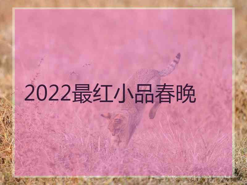 2022最红小品春晚